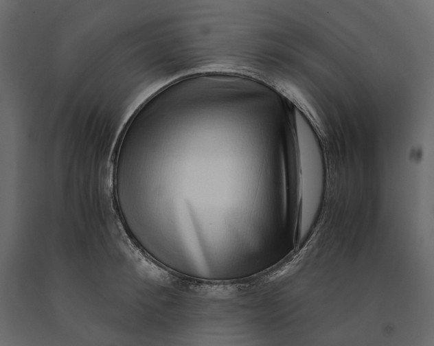 X0000091100900200708271314