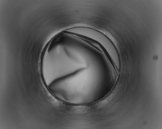 X0000091100902200708271314