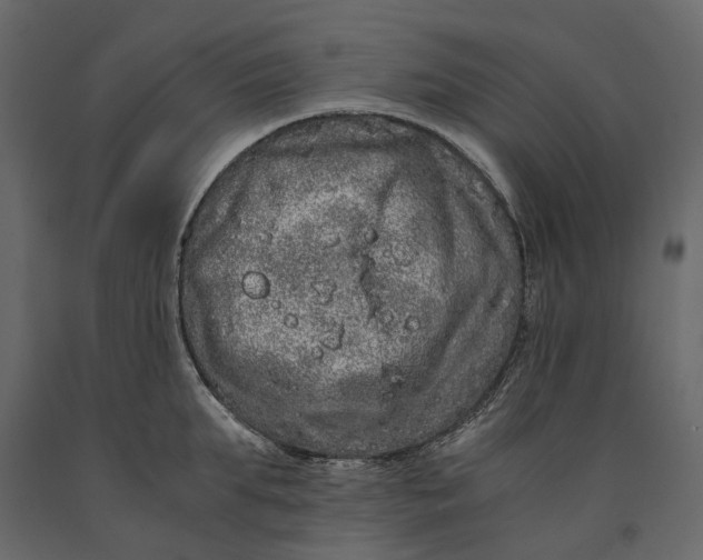 X0000091100903200708271314