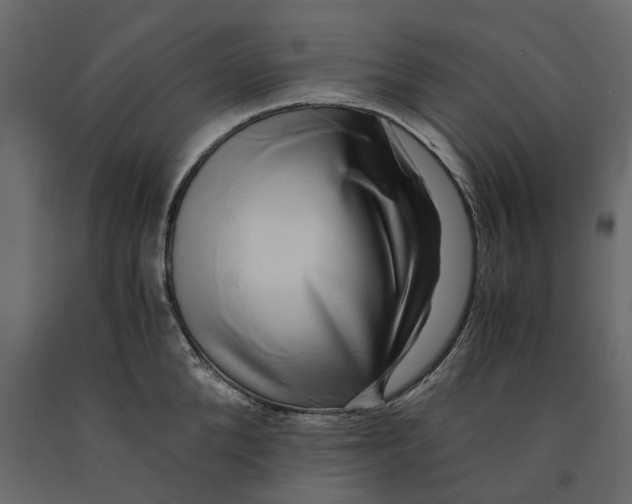 X0000091100904200708271314