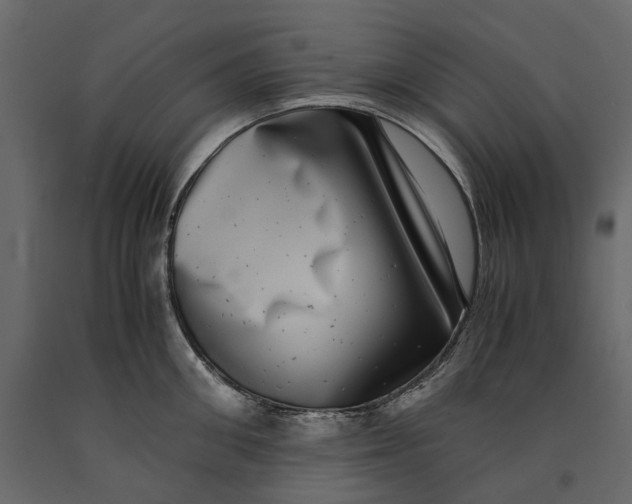 X0000091100906200708271314