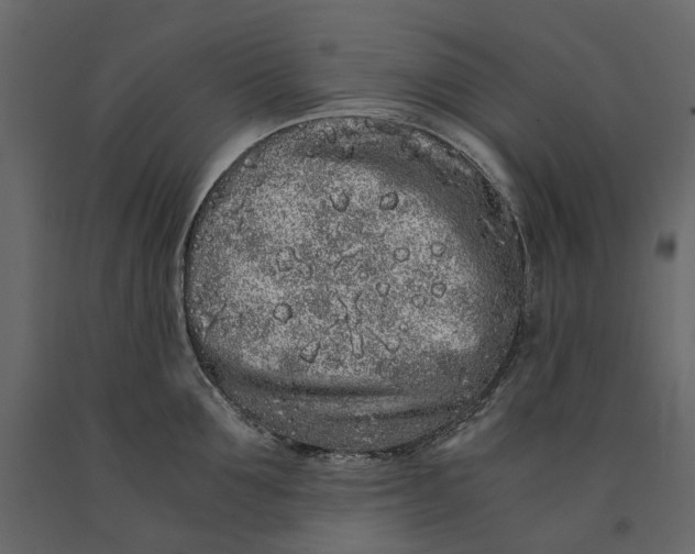 X0000091100907200708271314