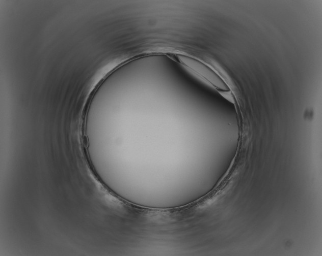 X0000091100909200708271314