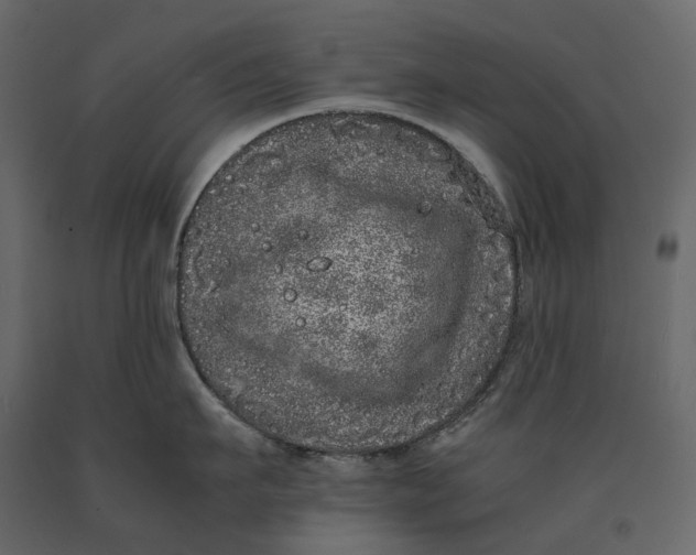 X0000091100911200708271314