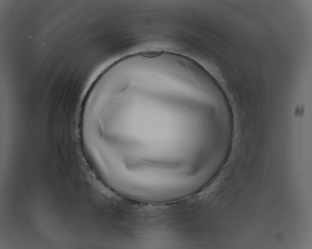 X0000091100912200708271314