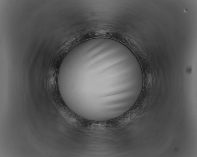 X0000091100914200708271313