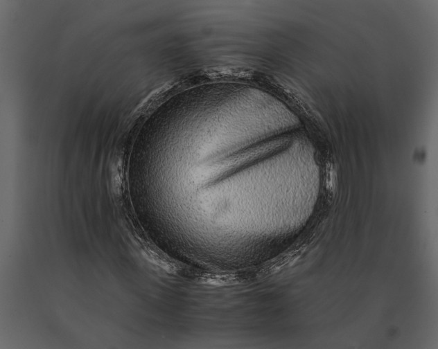 X0000091100915200708271313