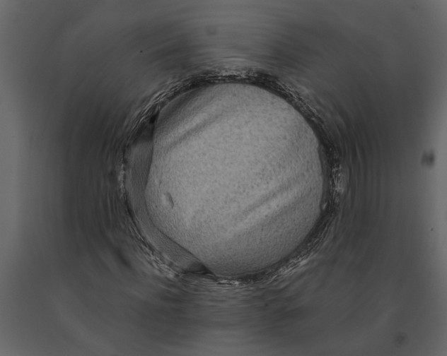 X0000091100916200708271313