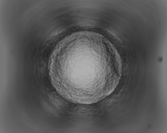 X0000091100917200708271313