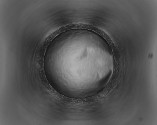 X0000091100919200708271313