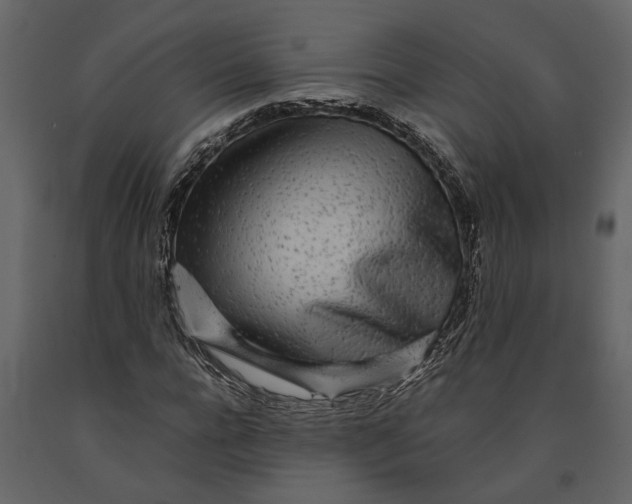 X0000091100920200708271313