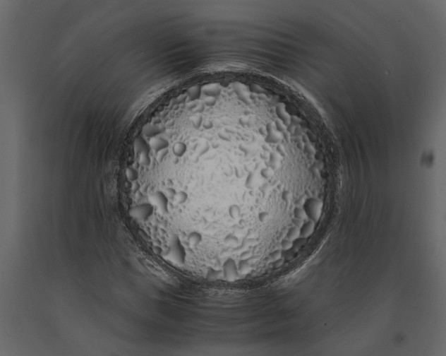 X0000091100921200708271313