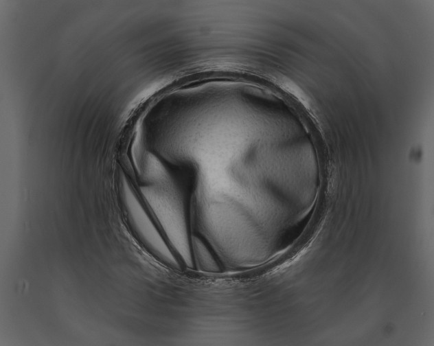 X0000091100922200708271313