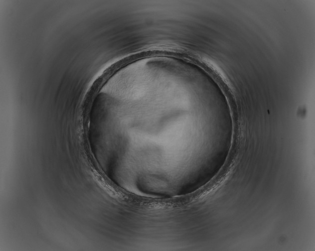 X0000091100923200708271313