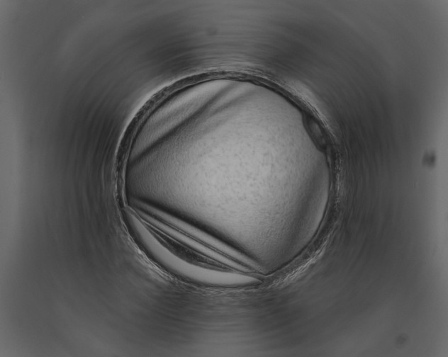 X0000091100924200708271313