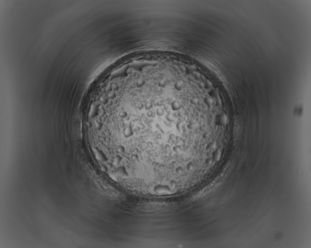 X0000091100925200708271313