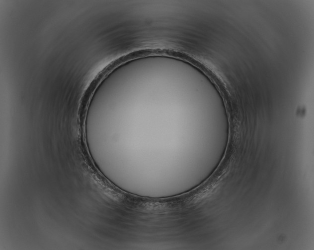 X0000091100927200708271313