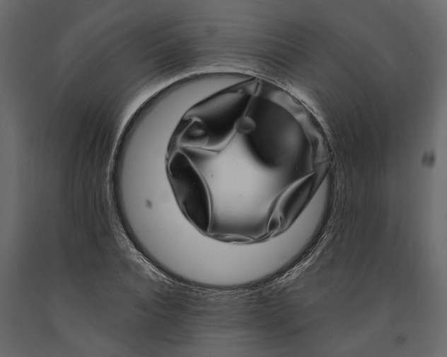 X0000091100928200708271313