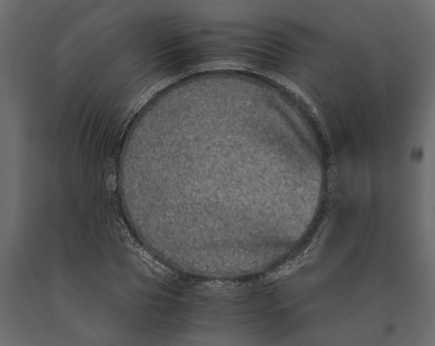 X0000091100929200708271313