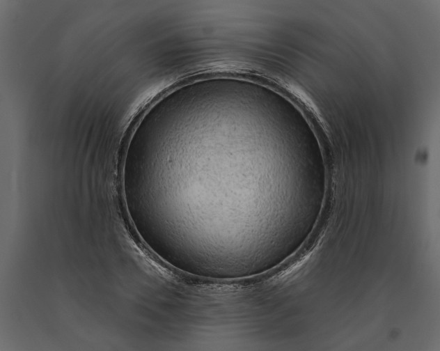 X0000091100930200708271313