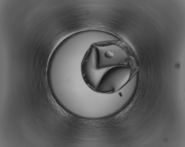 X0000091100932200708271313