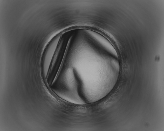 X0000091100935200708271313