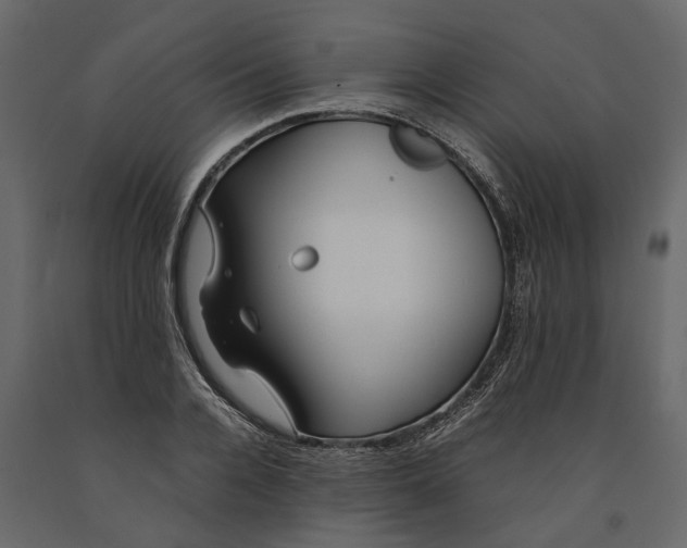 X0000091100936200708271313