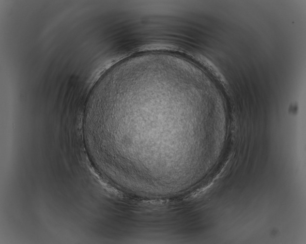 X0000091100937200708271313