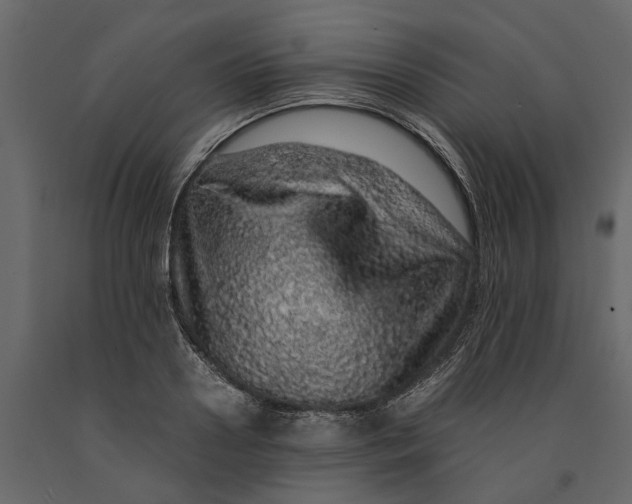 X0000091100938200708271313