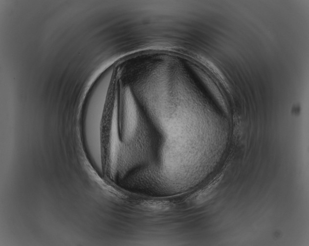 X0000091100939200708271313