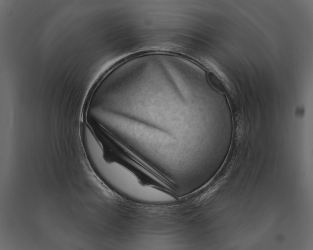 X0000091100940200708271314