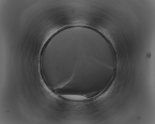 X0000091100941200708271314