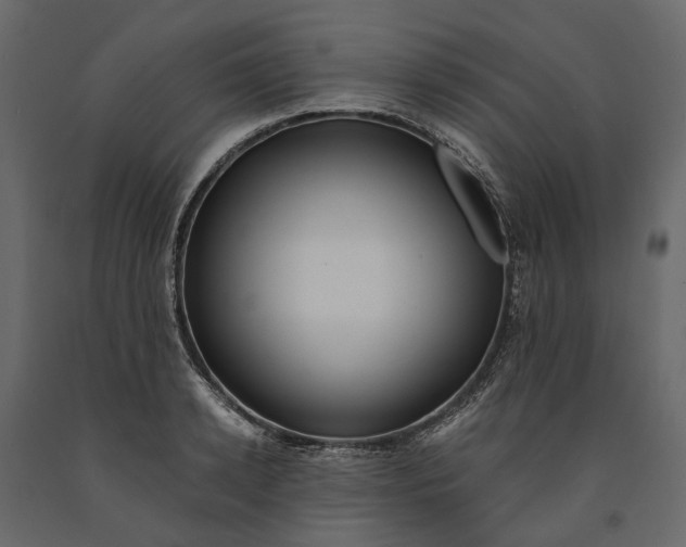 X0000091100942200708271314