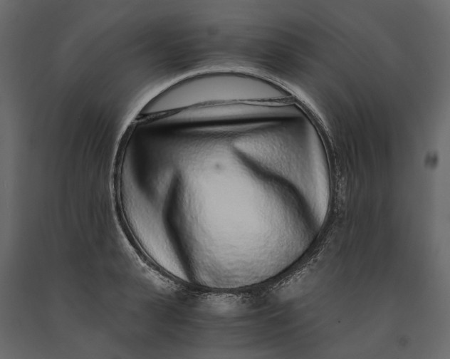 X0000091100943200708271314