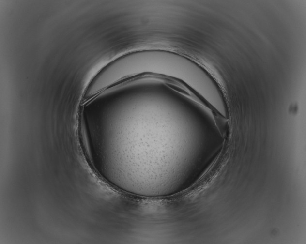 X0000091100944200708271314