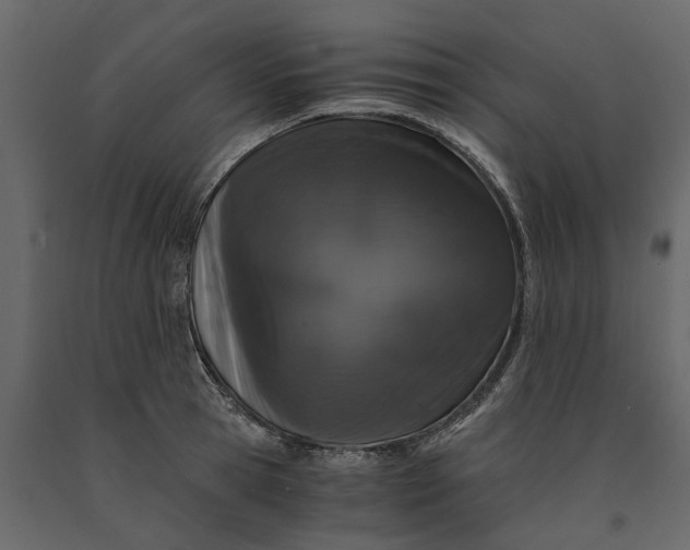 X0000091100945200708271314