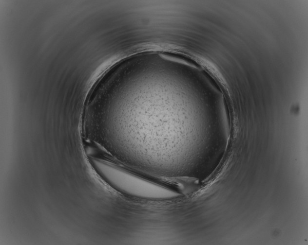 X0000091100946200708271314