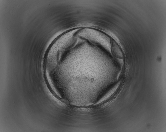 X0000091100947200708271314