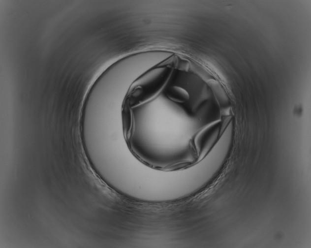 X0000091100948200708271314