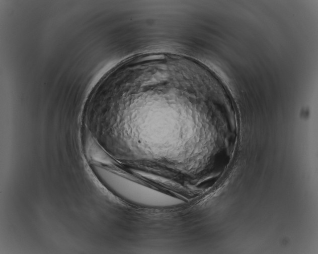 X0000091100949200708271314