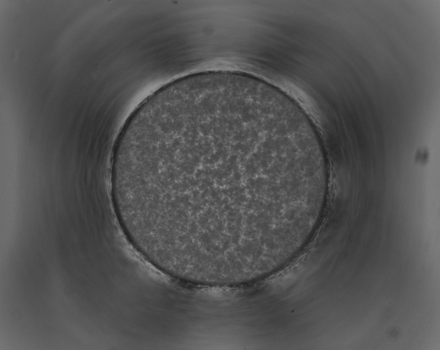 X0000091100950200708271314