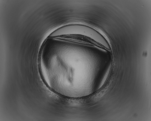 X0000091100951200708271314