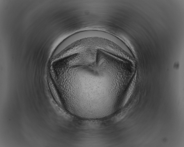 X0000091100952200708271314