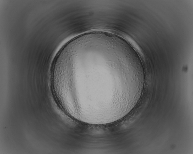 X0000091100955200708271314