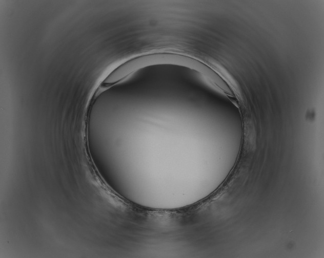 X0000091100956200708271314