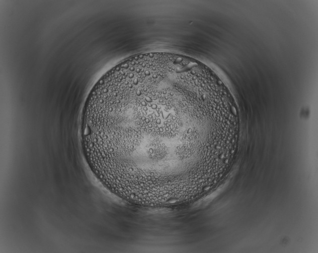 X0000091100957200708271314