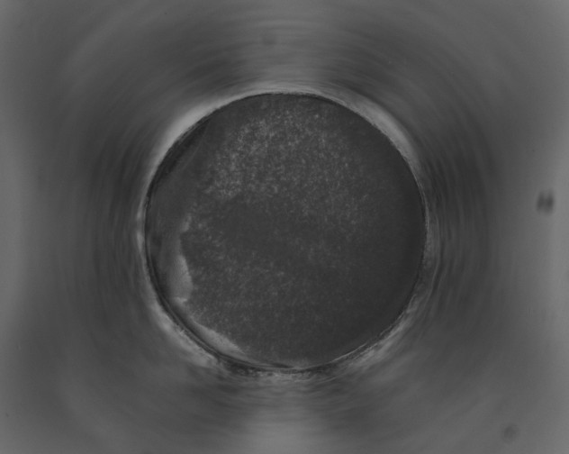 X0000091100958200708271314