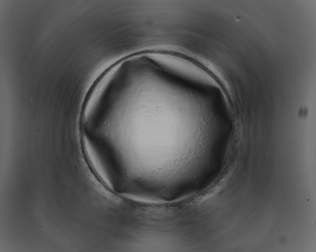 X0000091100959200708271314