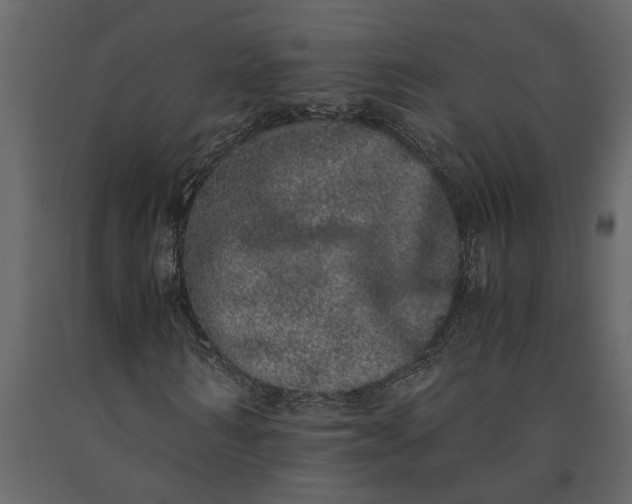 X0000091100962200708271313