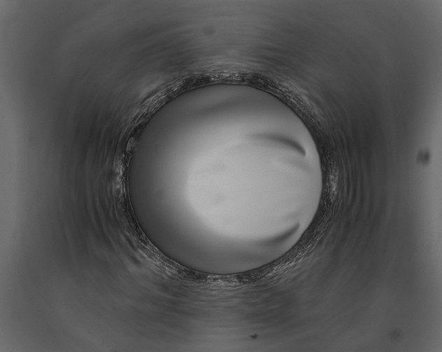 X0000091100964200708271313